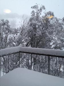 a balcony covered in snow with trees in the background at Maisonette, Falls Creek in Falls Creek