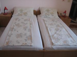オブゾルにあるGuest House Vyaraのベッドルーム1室(隣り合わせのベッド2台付)