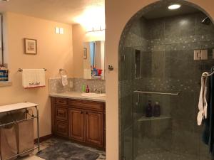 Ένα μπάνιο στο Delta Dome Home Basement Apartment +4 φωτογραφίες
