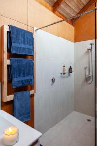 a bathroom with a shower with blue towels at The Burrow at Wombat Bend in Dixons Creek