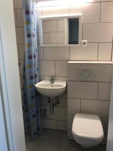 a small bathroom with a toilet and a sink at Haus am Meer in Wiek auf Rügen