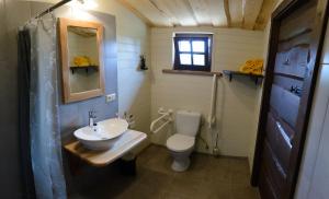 a small bathroom with a sink and a toilet at Kempings ĒRGĻI in Bernāti +115 photos
