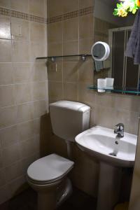 La salle de bains est pourvue de toilettes et d'un lavabo. dans l'établissement B&B Casa Fedora, à Montecatini Terme
