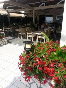 a bunch of red flowers in a pot on a patio at Hotel Florakis in Livanates