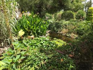 Cortijo Andaluz, Alhaurín el Grande – Bijgewerkte prijzen 2022