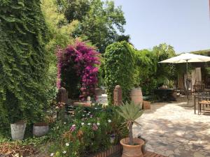 Cortijo Andaluz, Alhaurín el Grande – posodobljene cene za ...