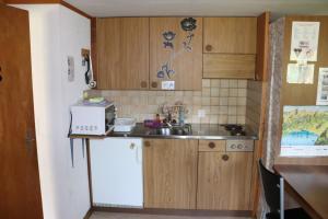 eine kleine Küche mit Spüle und Kühlschrank in der Unterkunft Homestay Brienz in Brienz