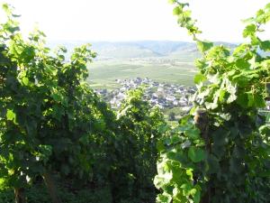 Fotografie z fotogalerie ubytování Ferienwohnung Bergblick v destinaci Trittenheim + 14 fotografií