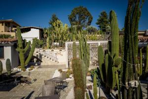 Fotografie z fotogalerie ubytování Garden Cactus v destinaci Villaggio Mose