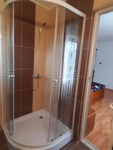 eine Dusche mit Glastür im Badezimmer in der Unterkunft Casa de vacanta Madalina in Novaci-Străini + 37 Fotos