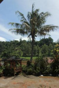 a palm tree and a wooden structure in a park at Villa KenDedes Garden in Batu