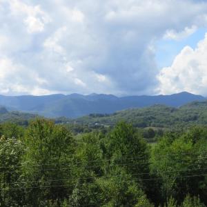 Elle offre une vue sur une vallée avec des montagnes et des arbres. dans l'établissement Apartment Metlača, à Perušić