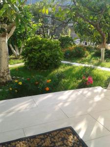 un jardin avec des fleurs et des arbres et un trottoir dans l'établissement Kotor Kelly Apartments, à Kotor