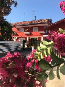Zahrada ubytování B&B Red Village