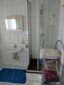 La salle de bains est pourvue d'une douche et d'un lavabo. dans l'établissement Schöne, gemütliche Wohnung, à Katzhütte