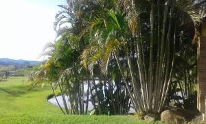 Foto da galeria de Ecoland em Igrejinha