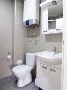een badkamer met een wit toilet en een wastafel bij Prenočište Dunav in Novi Banovci
