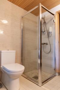 a bathroom with a toilet and a shower at Holiday Home Birdie in Naantali