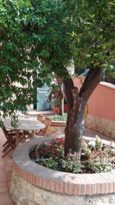 Zahrada ubytování Santa Lucia B&B
