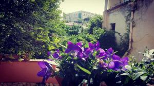 Zahrada ubytování Santa Lucia B&B