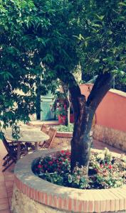 Zahrada ubytování Santa Lucia B&B