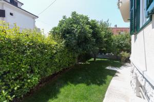 Vonkajšia záhrada v ubytovaní AML apartments