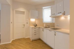 Kuchyňa alebo kuchynka v ubytovaní AML apartments