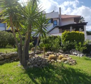 a garden in front of a house with palm trees at Isabel in Crotone