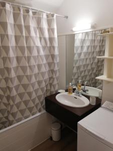 a bathroom with a sink and a shower curtain at Appartement Bagnères de Luchon in Luchon