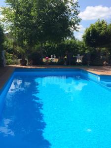 a large blue swimming pool in a yard at petite maison in Lüneburg