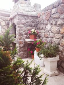 a stone wall with pots of flowers and plants at Rooms Verda in Senj