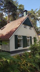 a small white house with green windows and trees at wittebergen25 in IJhorst