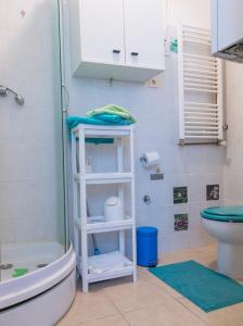 a bathroom with a shower and a white shelf at Studio apartman Tirkiz in Zagreb