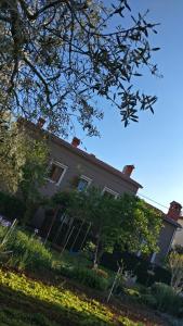 a house with ivy growing on the side of it at Apartman Lovor in Medulin