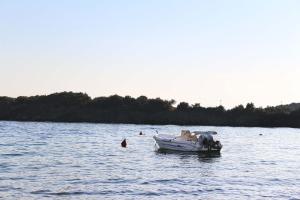 Táj Show holiday homes közelében