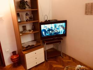 TV a/nebo společenská místnost v ubytování Apartments Ankica
