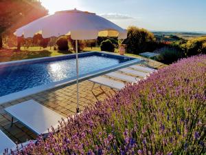 The swimming pool at or close to Villa S.Anna