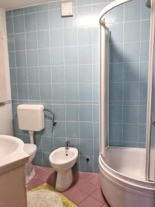 W wyłożonej niebieskimi kafelkami łazience znajduje się toaleta i prysznic. w obiekcie Villa Masha w mieście Omišalj