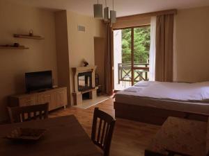 um quarto com uma cama, uma televisão e uma janela em Northstar Ski Apartment in Mountain Lake Hotel em Pamporovo