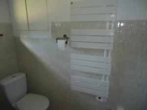 a bathroom with a toilet and a toilet paper dispenser at cottage pleine nature in Wattwiller +42 photos