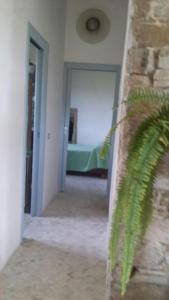 Postel nebo postele na pokoji v ubytování Paradiso verde a poca distanza dal mare