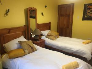 a bedroom with two beds and a mirror at Hakuna Matata in Marloth Park