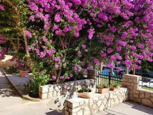 a bunch of pink flowers on a wall with trees at Apartments and Rooms Rosemari in Mali Lošinj