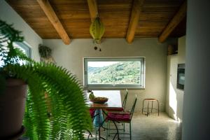 a kitchen with a table with chairs and a window at Paradiso verde a poca distanza dal mare in Agropoli