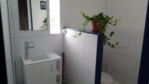 a bathroom with a sink and a potted plant at La Sichonnette in Vichy