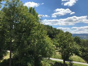 Priroda u blizini apartmana