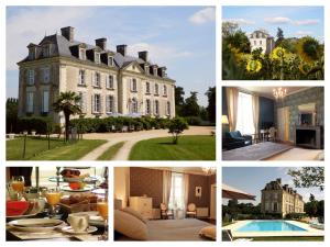 Πισίνα στο ή κοντά στο Château La Mothaye - self catering apartments with pool in the Loire Valley