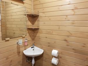 a bathroom with a sink and a mirror at Roguļi in Cērkste +12 photos