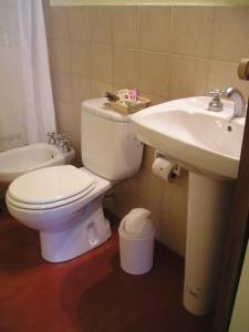 a bathroom with a white toilet and a sink at Hostería Rural Les Aldudes in San Andrés de Giles