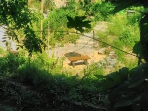 un banco sentado en medio de un jardín en Gästewohnung im Naturgarten Nähe Steinhuder Meer, en Wunstorf